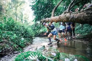 BIB: 
                            <button type="button" onclick="openModal(25459962)" class="btn btn-primary btn-sm float-right btn-popup" data-toggle="modal" data-target=".modal-high-quality">
                        <i class="fas fa-shopping-cart"></i> Add to Cart
                    </button>
                                            <button type="button" onclick="isThisMe(25459962, true)" class="btn btn-success btn-sm float-right btn-popup btn-isme hidden" data-toggle="tooltip" data-placement="bottom" title="นี่คือรูปของคุณใช่ไหม คลิกที่นี่เพื่อเอาเข้าอัลบั้ม">
                        <i class="fas fa-plus"></i> Add to album
                    </button>
                    <button type="button" onclick="isThisMe(25459962, false)" class="btn btn-warning btn-sm float-right btn-popup btn-isnotme hidden">
                        <i class="fas fa-ban"></i> Remove from album
                    </button>